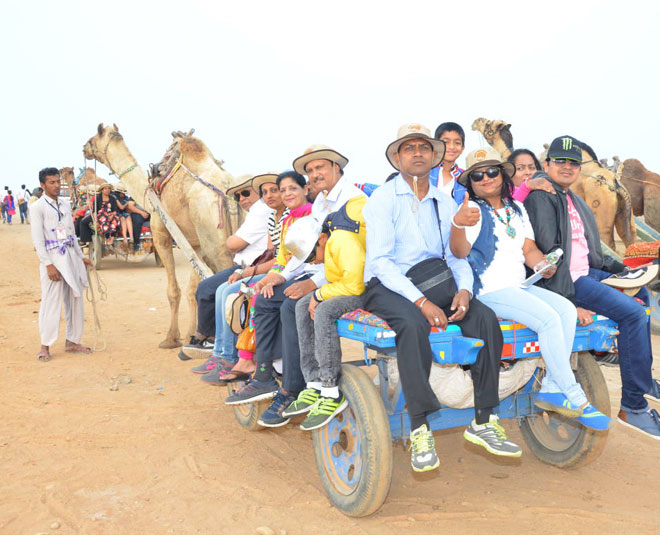 activities in rann of kutch inside