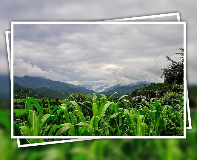 karsog travel inside