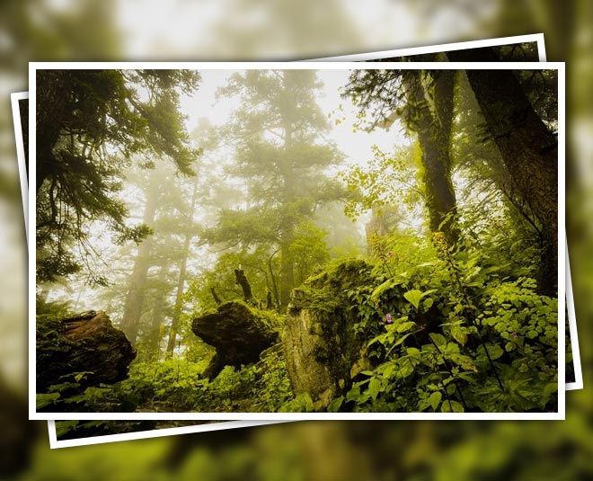 karsog travel inside