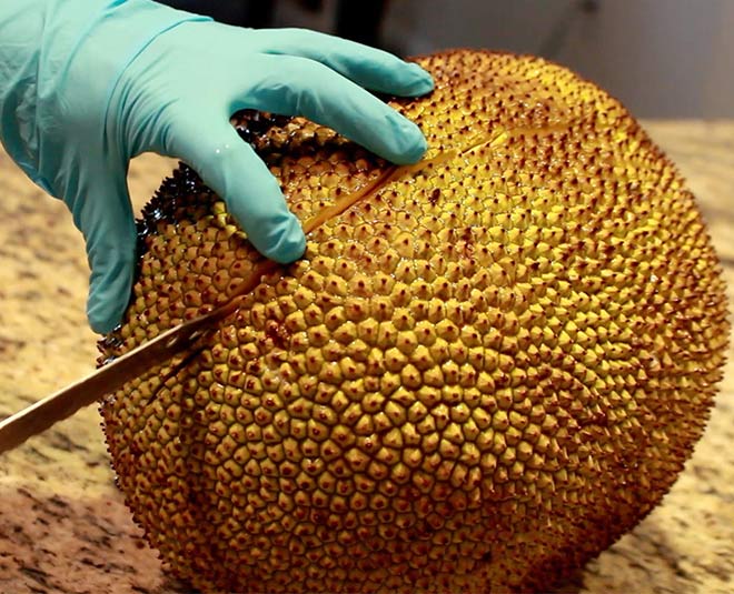 tips how to cut jackfruit easily at home