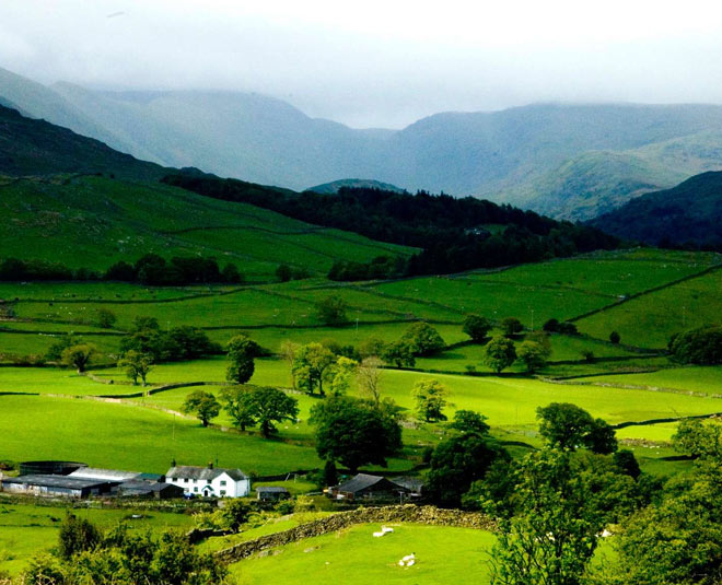 ziro valley music festival