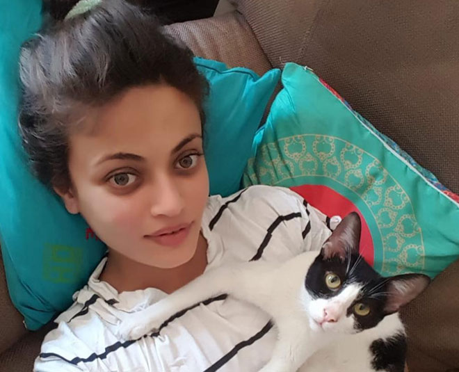 Do you know aishwarya rai bachchan have  lookalikes in bollywood industry  sneha