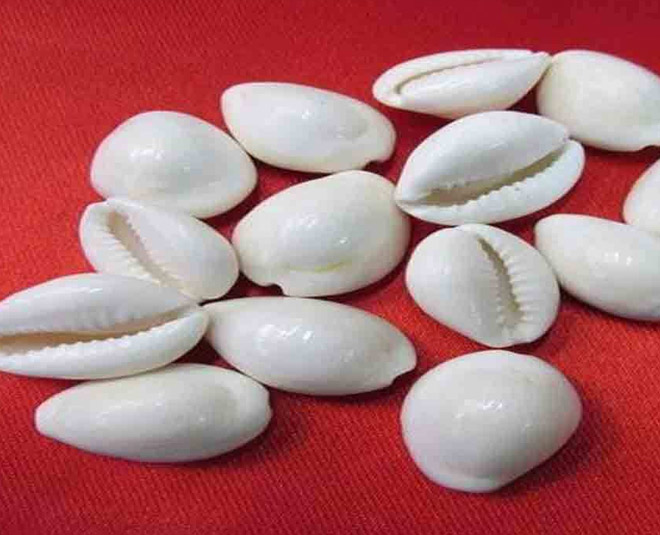 akshay tritiya main khareede inside