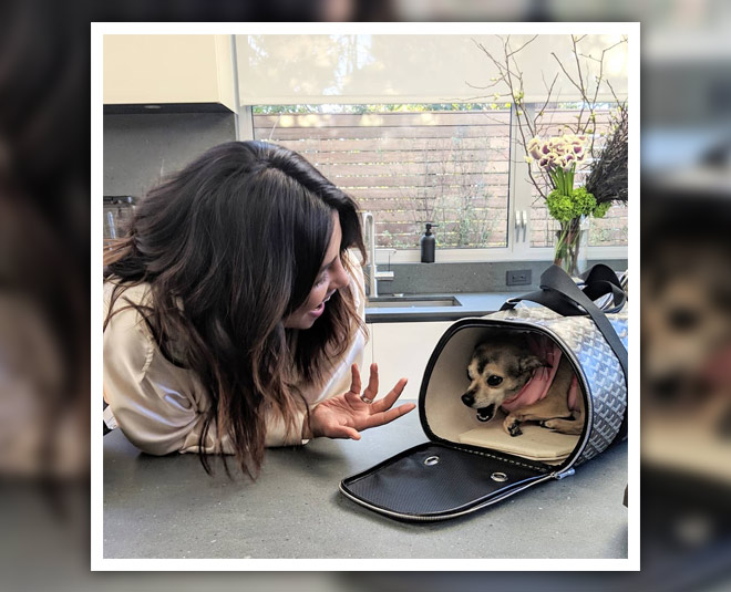 priyanka chopra with pet diana