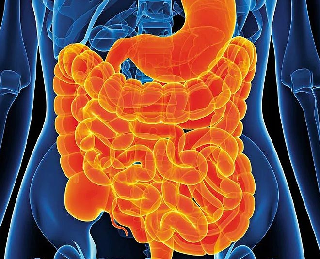 Burger Effect on health