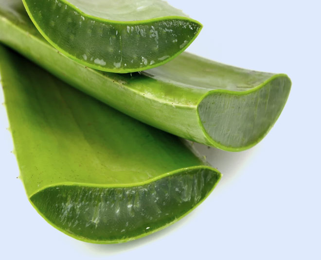 aloe vera skin beauty INSIDE