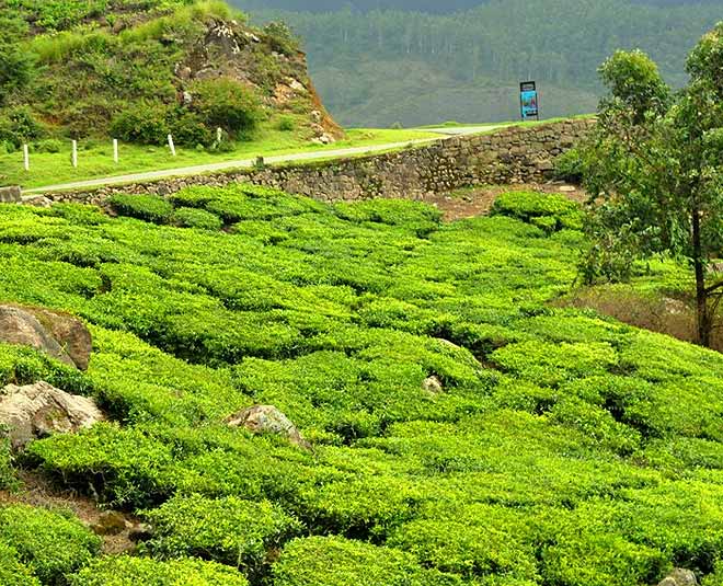 amritsar for Perfect Weekend hill inside