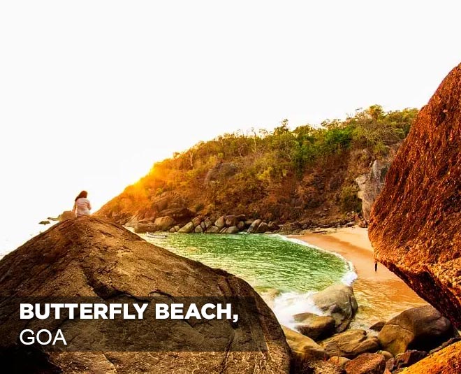 goa butterfly beach inside
