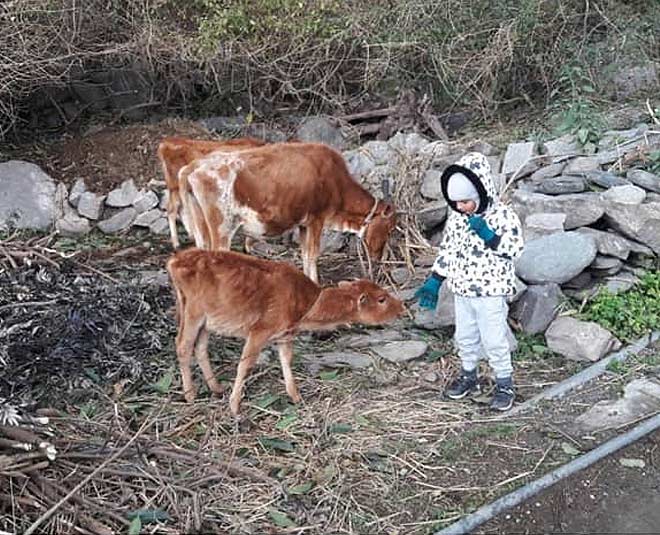 humans of bombay travel