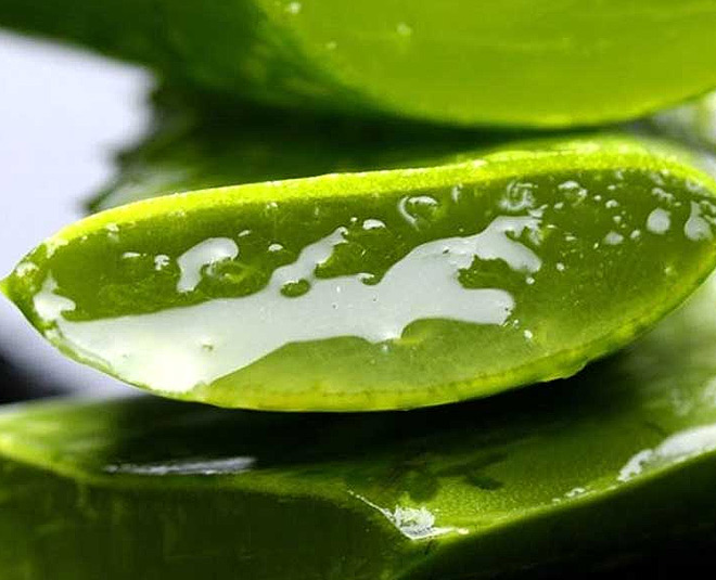 jawed habib hairfall treatment aloe vera inside