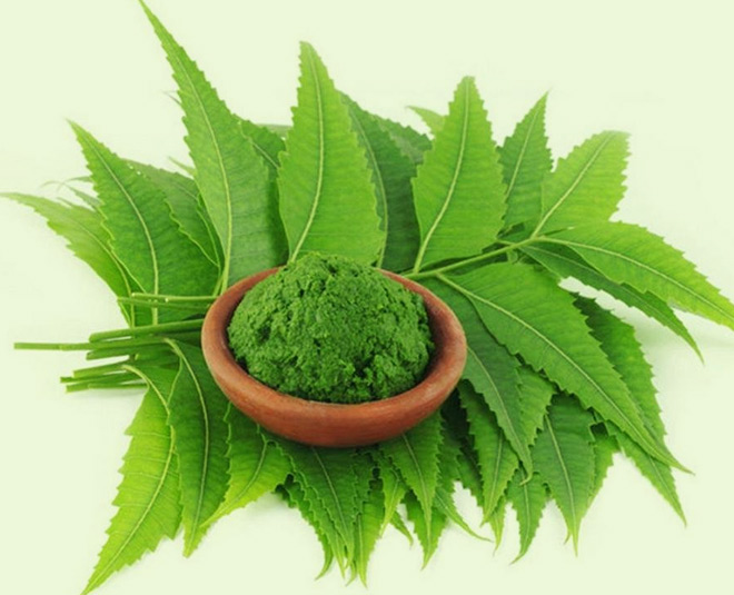 jawed habib hairfall treatment neem inside