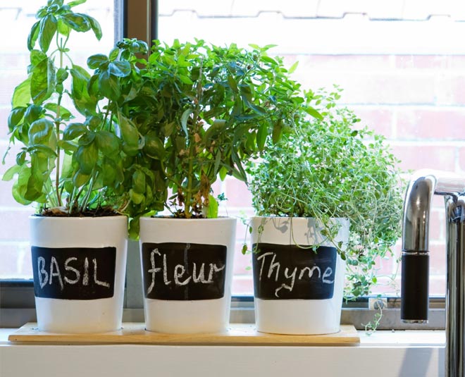 kitchen decoration ideas ()