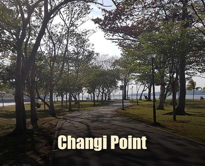 singapore honeymoon destinations changi point inside