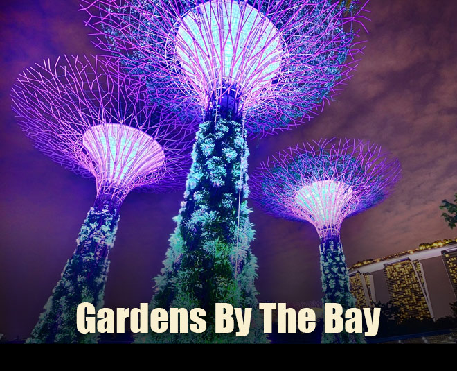 singapore honeymoon destinations garden by the bay inside