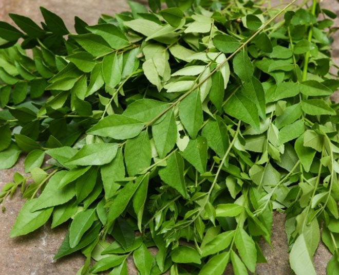 curry leaves for health inside