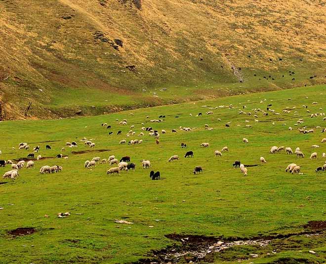 offbeat travel destinations in himachal pradesh pabbar valley