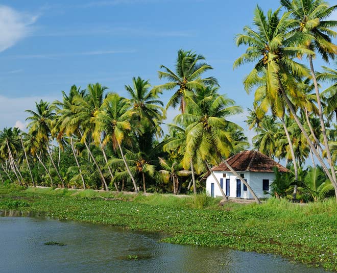Kollam Backwaters
