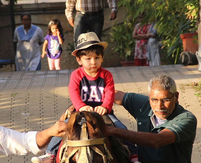 bollywood father son relationship taimur ali khan with saif ali khan horseride