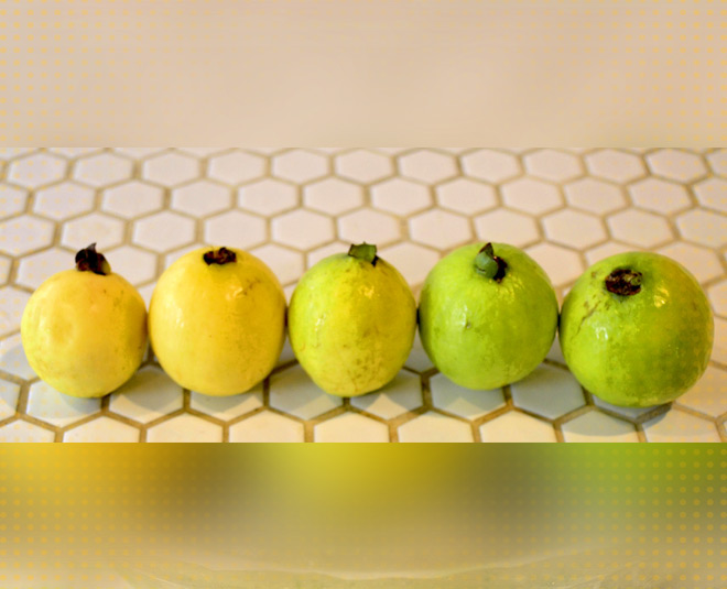 guava chutney inside