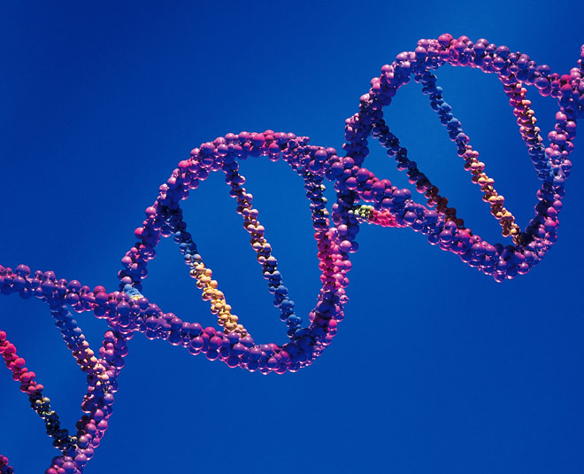 prevent neurological disorders card ()