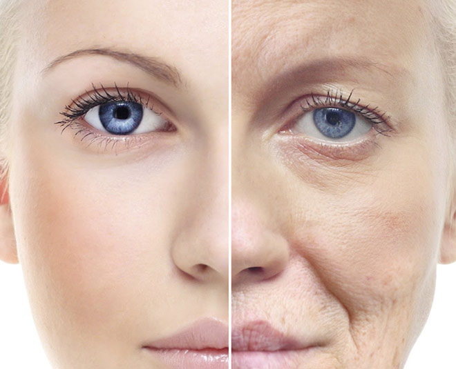 argan oil anti oxidants