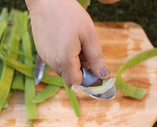 homemade aloe vera gel inside