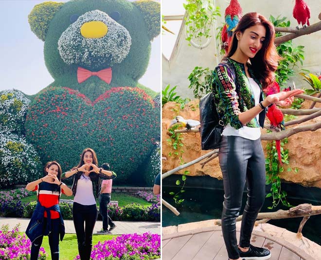 miracle garden dubai