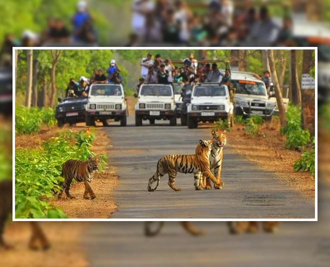 Budget trips near delhi