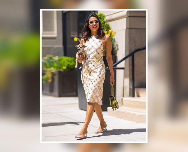 everything about priyanka chopra