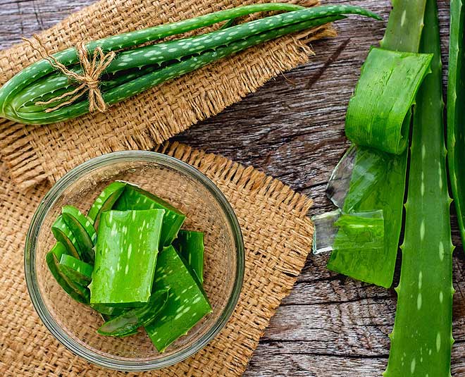 javed habib treatment for dandruff aloe vera inside