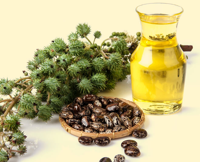 javed habib treatment for dandruff caster oil inside