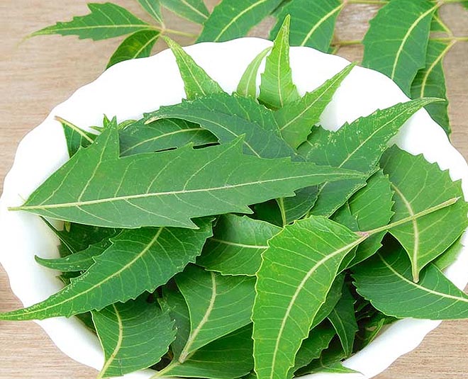 javed habib treatment for dandruff neem inside