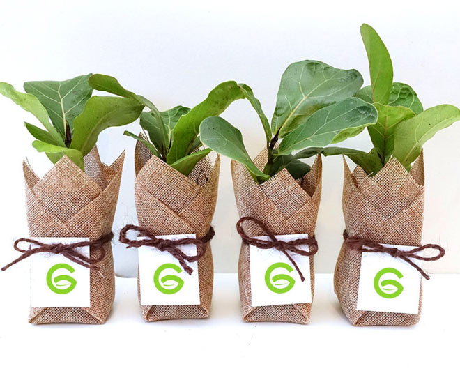 wedding gift inside ()