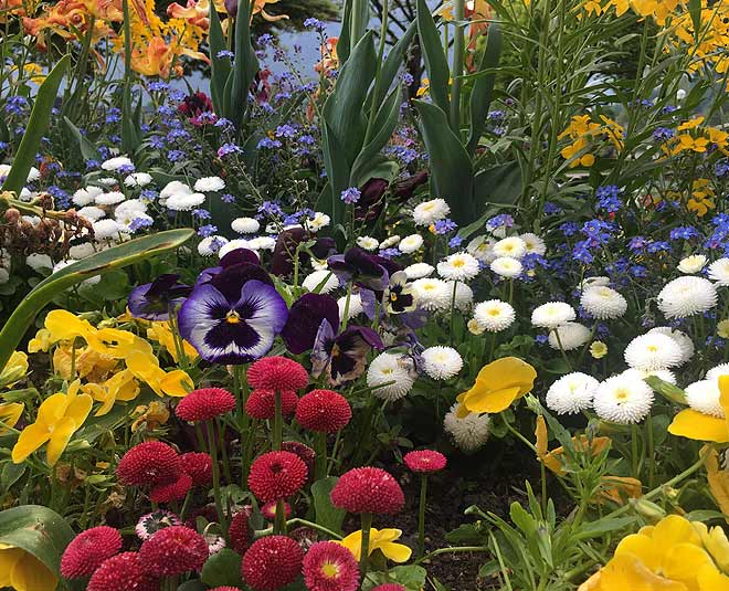 flowers gupta wedding