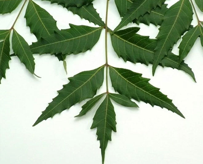 get rid of fatigue and skin related problems with neem inside