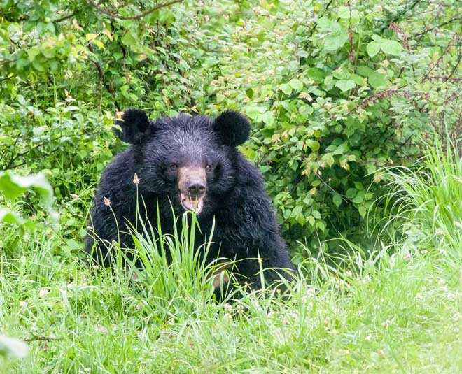 inside srinagar travel places