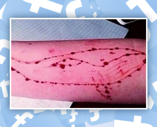 blue whale challenge