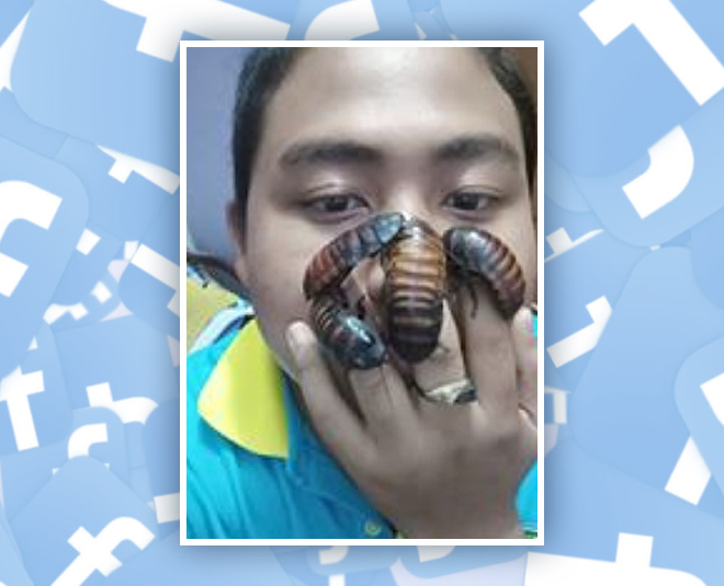 cockroach challange viral