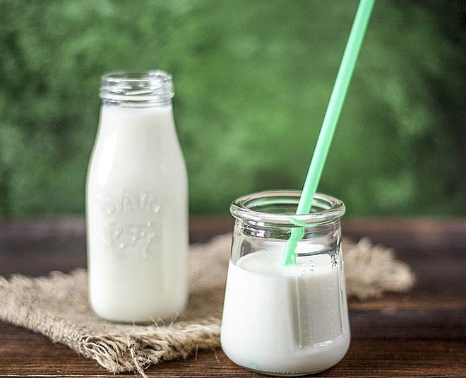 curd health benefits