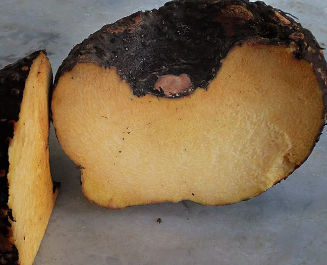 how to cook suran recipe inside