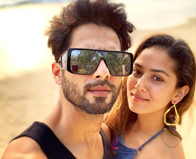 shahid kapoor praising mira rajput one