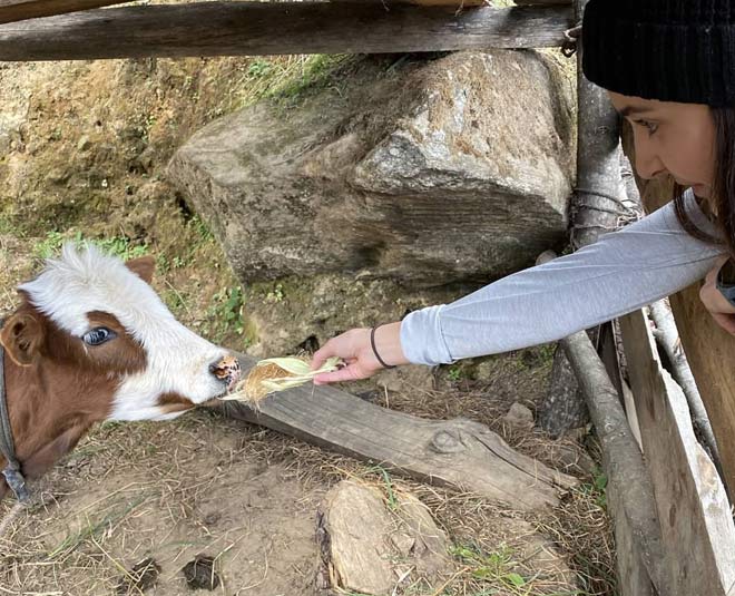 virat and anushka photo bhutan trip
