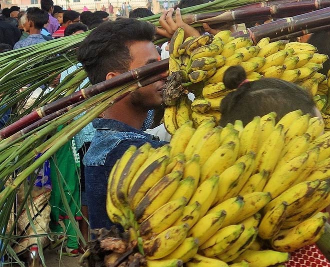 chhath puja prasad reasons and importance behind it inside