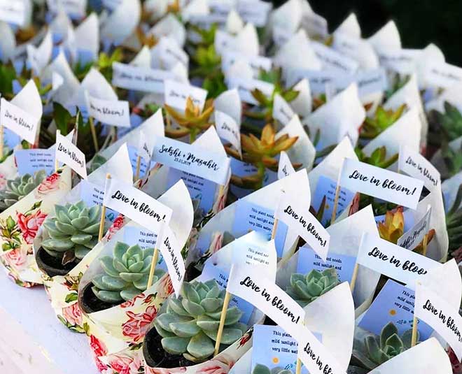 some easy tips to plan an eco friendly wedding inside one