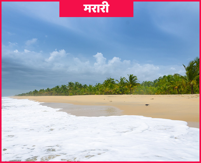 Marari beach kerala