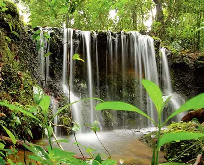 Mumbai Shimla fails in front of them inside