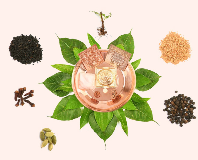 Vastu Tips On cloves for money