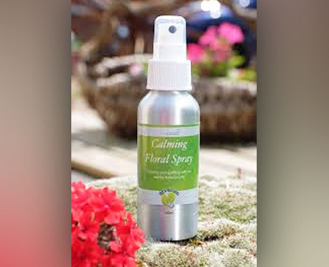 natural smell inside