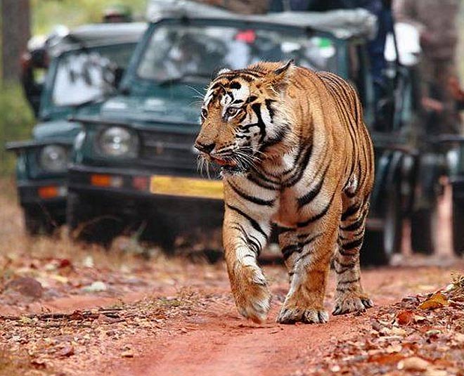 places in Madhya Pradesh that are world famous inside