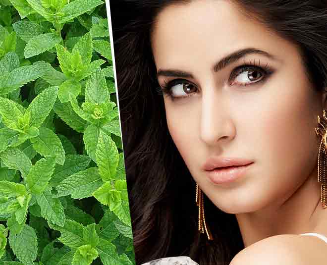 beauty benefits of mint main